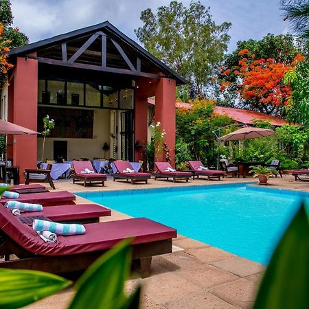 מלון Brufut Hibiscus House Gambia מראה חיצוני תמונה