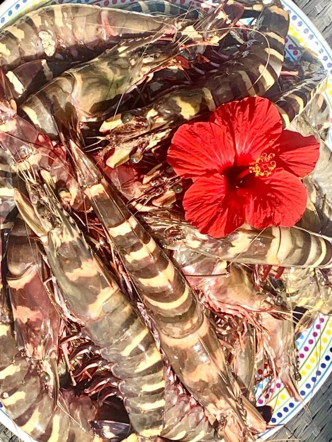 מלון Brufut Hibiscus House Gambia מראה חיצוני תמונה