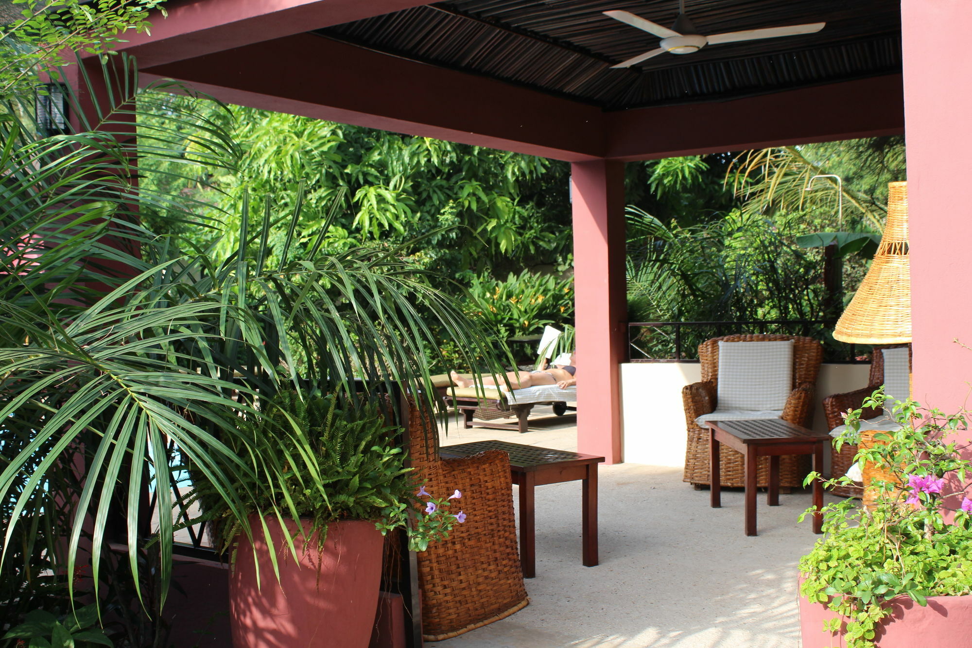 מלון Brufut Hibiscus House Gambia מראה חיצוני תמונה
